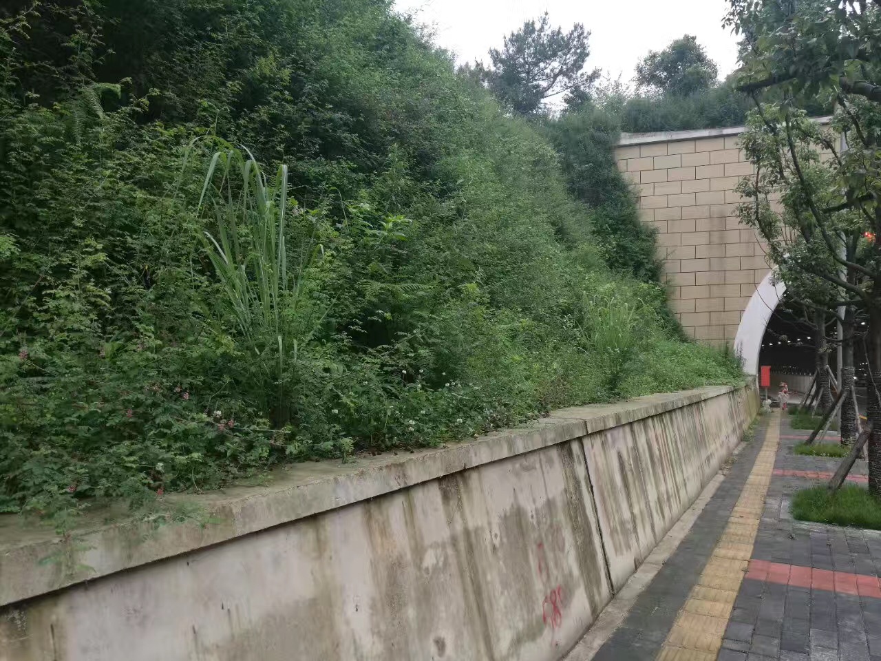 2017062614984630631544232024.jpg 2017062614984630631544232024.jpg