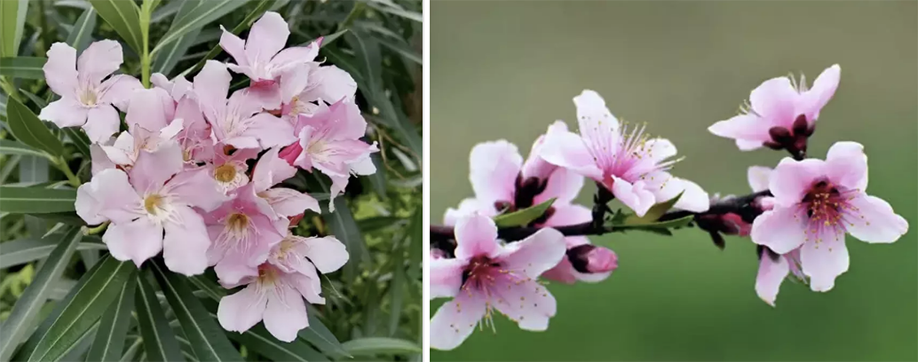 2022062116557774581010581017.png 8.png